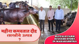 महिना दीड लाखांचे उत्पन्न 35 म्हशींपासून ? माहिती व मुलाखत | buffalo farming maharashtra | dairyfarm