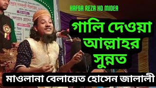 গালি দেওয়া আল্লাহর সুন্নাত,মাওলানা মুফতী বেলায়েত হোসেন জালালী #hafsarezahdmidea #new #তাহেরি #জালালি