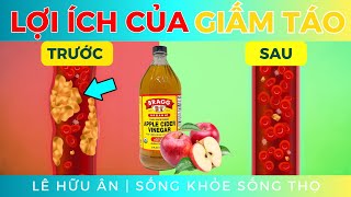 8 LỢI ÍCH TUYỆT VỜI của GIẤM TÁO mà bạn sẽ ƯỚC MÌNH BIẾT SỚM HƠN