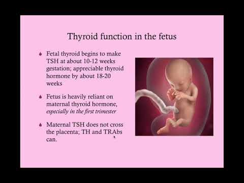 Thyroid Disease in Pregnancy - CRASH! Medical Review Series Thyroid Disease in Pregnancy - CRASH! Medical Review Series