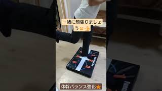 【体幹 バランス トレーニング】体幹バランストレーニングを行い体の軸作りを！【堺市美原区】