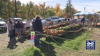 Peak pumpkin season brings business to local farms