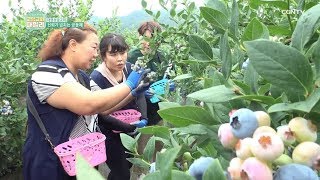 선한 일을 행하라 - 대명성결교회  @ 믿음의 씨앗 고향교회 패밀리 77편