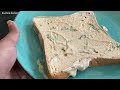 dahi toast recipe evening snacks recipe dahi tadka toast sandwich breakfast recipes with bread