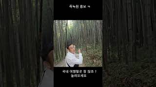 담양죽녹원 [겨울 여행하기 좋은곳] 84아재 또 달려가본다