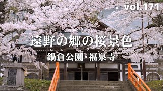 【2023桜ハンター】遠野の郷の桜景色【鍋倉公園 福泉寺】