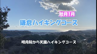 【鎌倉ハイキングコース 】天園ハイキングコースを歩いてみた明月院から1月