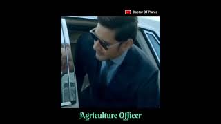 Agriculture officer||what is after bsc agriculture||government jobs after bsc agriculture