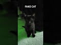 FAKE CAT