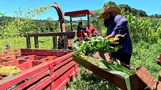 making silage on the edges and opening the way for the tractor to pass