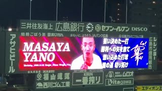 20240812　矢野雅哉　第5打席の登場曲【｢大切なもの｣／ロードオブメジャー】　8回ｳﾗ　広島東洋ｶｰﾌﾟ@MAZDA Zoom-Zoom ｽﾀｼﾞｱﾑ広島･ﾋﾞｼﾞﾀｰﾊﾟﾌｫｰﾏﾝｽ