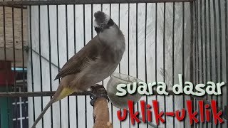 Suara dasar Trucukan gacor sambung uklik-uklik//pancingan trucuk ombyokan paling tepat 100% AMPUH