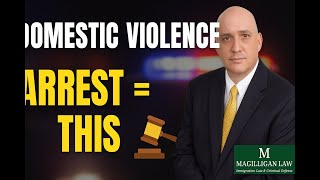 Arrested for Domestic Violence in Florida? What Happens Next – Your MUST-KNOW Guide | Magilligan Law