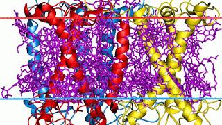 Light-harvesting complexes of green plants | Wikipedia audio article