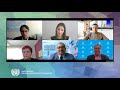 UNIDO webinar 