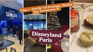 [Vlog1] Disneyland Paris : Sea Life Val d’Europe, New York Art of Marvel, Downtown et Skyline bar