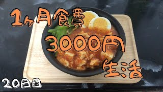 無職の１ヶ月食費３０００円生活【２０日目】