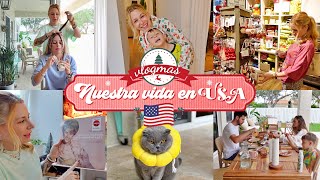 🇺🇸 VLOGMAS 🎄decorando toda la casa de Navidad 🎅🏻  pruebo con Elaia 😄Nuestra vida en USA