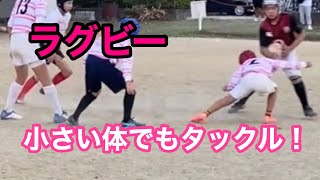 ラグビー　小学生ステッパー　タックル　ステップ　パス　2021.10月