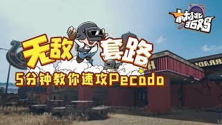 【绝地求生】林小北36鸡第19期：无敌套路 5分钟教你速攻Pecado  Pubg吃鸡教学解说中文第一视角