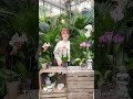 floralux tuintip hoe verzorg ik een orchidee