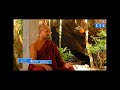 නොදැන කරන අකුසලේ විපාක වැඩිද thalgamuve sudheerananda thero