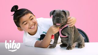 Dogs Try Weird Dog Food | Outdoor Series | HiHo Kids