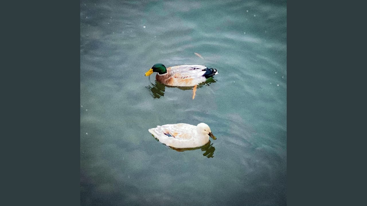 First Ascent Youtube