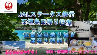 JAL日本航空ステータス修行ISGタッチ　羽田～石垣島日帰り往復　最後にまさかのゴーアラ！