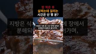 밥 먹은 후 살찌는데 걸리는 시간은 단 몇 분