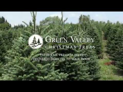 Green Valley Christmas Trees - Fresh-Cut Christmas Trees Delivered To Your Door Green Valley Christmas Trees - Fresh-Cut Christmas Trees Delivered To Your Door