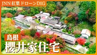 VIVANTロケ地　国指定重要文化財「櫻井家住宅」の紅葉【JNN 紅葉ドローンDIG 2023】| TBS NEWS DIG