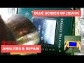 Nintendo Switch Lite - Blue Screen Of Death (BSOD) - Analysis And Repair