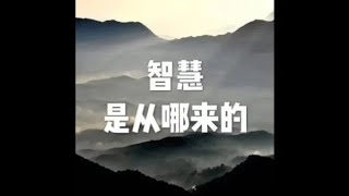 201511 智慧是从哪来的21201