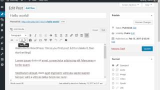 WordPress Visual Editor Toolbar Toggle