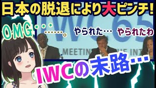 【海外の反応】因果応報！「日本という金蔓を失ったIWCが加盟国に必死に圧力をかける！図々しい言い分に日本側も騒然！「日本抜けたらタダの捕鯨禁止委員会やん…」【スカッと時事】