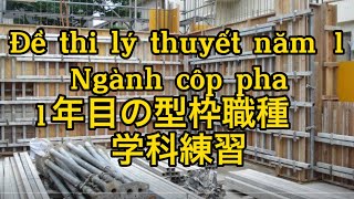 Đề thi lý thuyết năm 1 ngành coppha (2 đề A,B) 1年目型枠学科練習（A,B) audio:ベトナム語