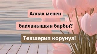 Аллах менен мамилен барбы? Аялдар учун гана!