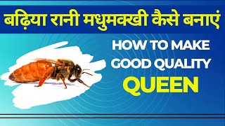 अच्छी रानी मधुमक्खी कैसे बनायें  || How to get good Queen Bee