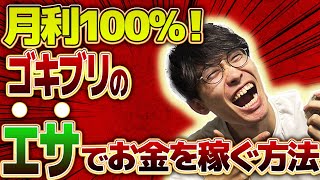 【衝撃❗月利100%❗スマホだけでOK❗】ゴキブリのエサでお金を稼ぐ方法【ゴキブリ投資】【デュビア投資】【副業】