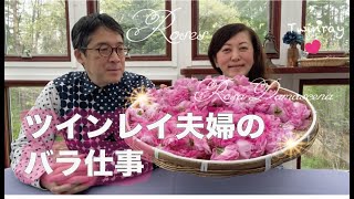 ダマスクローズが届いたので、夫婦で作業をしました　ツインレイ 夫婦