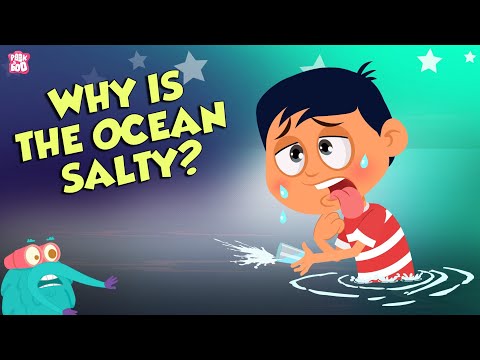 Why is ocean water salty?