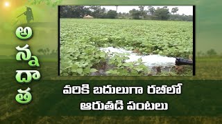 Alternate Crops for Paddy in Rabi | వరికి బదులుగా రబీలో ఆరుతడిగా సాగుచేయదగిన పంటలు