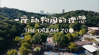 The Dream Zoo! Cute little animals are good medicine for life