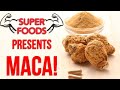 Maca Root: Everything YOU NEED to Know