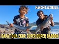 Manci Australia | Dua Ekor Super Babon Kita Bawa Pulang Pagi-Pagi