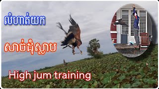 ដើម្បីអោយបក្សីប្រមាញ់របស់យើងប្រមាញ់បានល្អហើយមានល្បឿនលឿនតើយើងត្រូវធ្វើដូចម្ដេចហើយត្រូវធ្វើនៅពេលណា?​