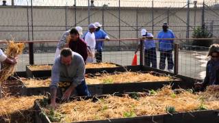The Insight Garden Program's Vegetable Garden at San Quentin State Prison