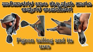 ಪಾರಿವಾಳಗಳ ಬಾಲ ಕಟ್ಟುವುದು ಹಾಗೂ ಅವುಗಳ ಉಪಯೋಗ ||pigeon world 99 || #pigeon