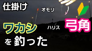 【弓角・サーフトローリング】仕掛け紹介　西湘ワカシを釣った時のオモリ、ハリスなど